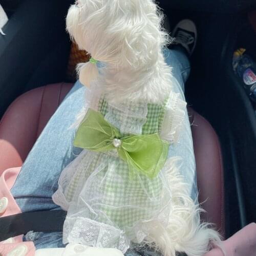 Dog Dress Cat Maid Lace Bow Skirt Wedding Princess Dresses Teddy Bichon Yorkshire Terrier Maltese Poodle Pet Summer Dog Clothes