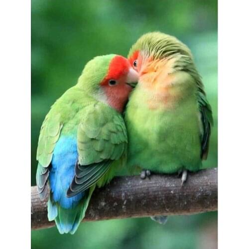 Parrot Love Diamond Embroidery Painting Birds Couple Mosaic Rhinestone Sticker Wall Decor New Arrival Puzzle Picture Diamond Dot