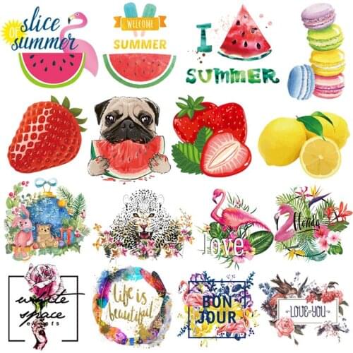 Cartoon Animal Stickers Flower Applique Patches On Clothes Fruit Patch Thermo-sticekrs For Clothing Cute Stickers On Kid T-shirt