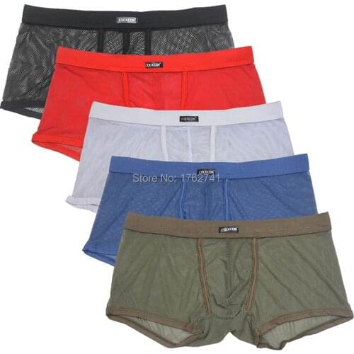 Men Underwear Mesh See-through Sexy Underpants Panties Thin Breathable Hombres Masculia Cueca Men Boxershorts