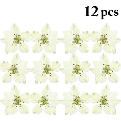 12Pcs Dried Flowers Decor DIY Material Accessories For Phone Case & Bookmark Creative Pressed Flowers Party Supplies Home Decor
