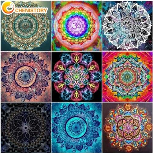 CHENISTORY Flower Disc Oil Picture By Numbers On Canvas With Frame DIY Craft Kits Adults Paint Drawing Coloring By Number Decor