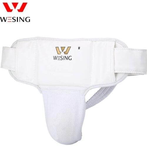 Wesing Karate Groin Guard Approved by WKF Men Women Professional Athletes Protective Gears for Karate Training Fighting