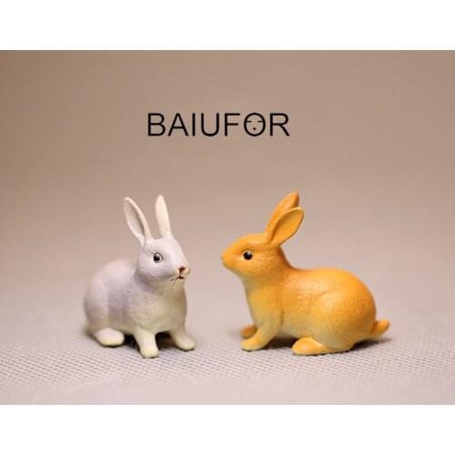 BAIUFOR Cartoon Kawaii Rabbit DIY Terrarium Figurines Succulents & Fairy Garden Miniature Plastic Crafts Home Accessories