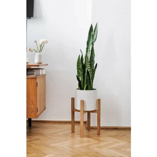 Natural Wood Stylish Flower Pot Solid Wood Flower Pot Kitchen Bathroom Balcony Living Room Office 2021