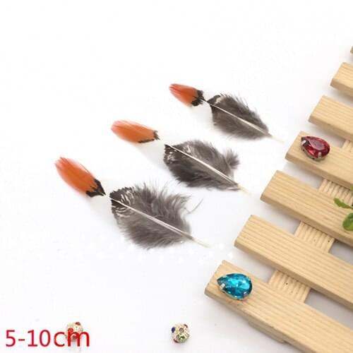G Beging Decorative Feathers