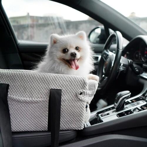 LEZIZI Products For Dogs