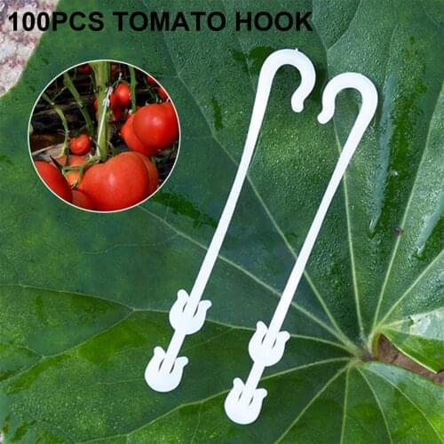 Tomato Holders Plant Clips J-shape Hook Trellis Prevent Tomatoesnjured Or Falling Greenhouse Reusable Tool Vegetable Support