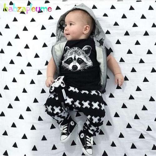 Baby Boy Tracksuit Summer Toddler Clothing Fashion Cartoon Print Kids Girl Clothes Top+Pant 2pcs infant set Autumn Outfit BC1238