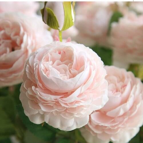 Green Aloes Artificial Roses