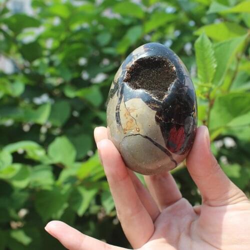 280g Natural curvature of the furnishing articles Turtle grain stone egg Ball Septarian nodule Fossil Crystal Healing quartz 19
