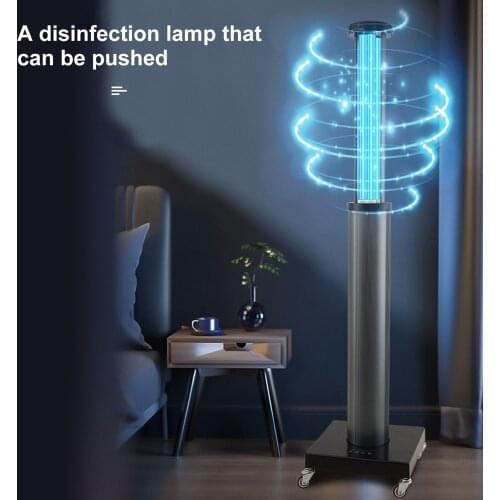 Cycle Zone Light Bulbs