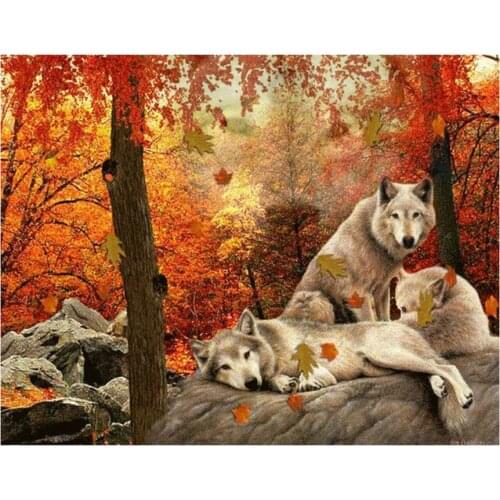 New 5D Diy diamond painting Forest wolves pattern mosaic diamond full square round diamond embroidery rhinestones decoration