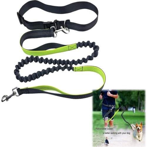 Retractable Hands Free Dog Leash For Running Dual Handle Bungee Leash Reflective For Up to 150 lbs Large Elastic Bungee Leash