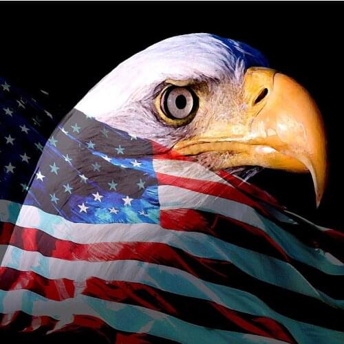 JMINE Div 5D America flag eagle Full Diamond Painting cross stitch kits art High Quality Animal 3D paint by diamonds