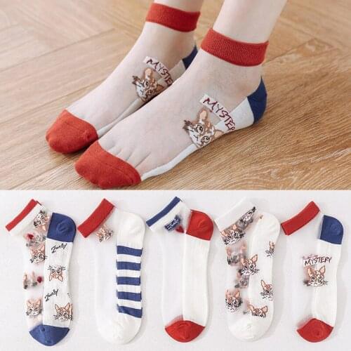 Fashion Socks Woman 2021 New Spring 5 Pairs Ankle Girls Cotton Socks Color Novelty Women Cute Cat Short Casual Funny Socks Silk
