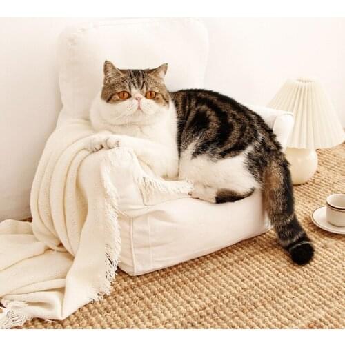 Cute cat sofa pet furniture photography photo props scene layout cute pet fabric chair comfortable nest Four Seasons Cat Bed