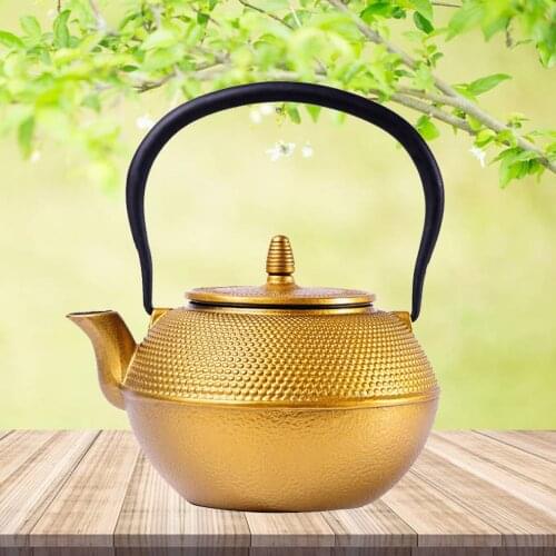 ENERGE SPRING Cast Iron Teapots China