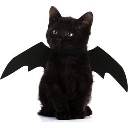 2021New OLN Pet Dog Cat Bat Wing Cosplay Prop Halloween Bat Fancy Dress Costume Outfit Wings Cat Costumes Photo Props Headwear