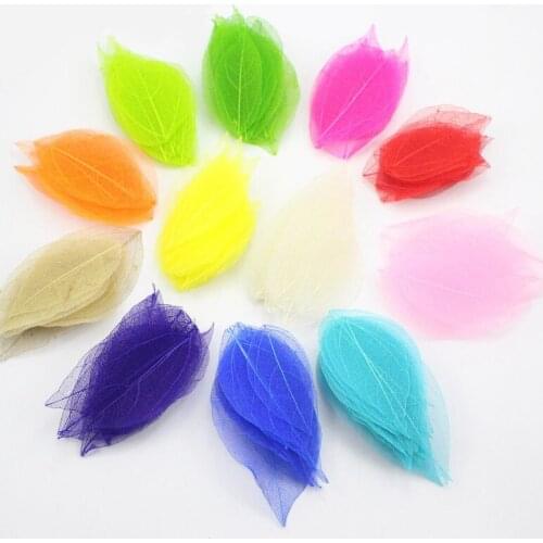 100Pcs Mixed Color Natural Skeleton Leaves Pressed Flower Dry Leaves DIY Materials Scrapbooking Decoration Wedding Party Decor