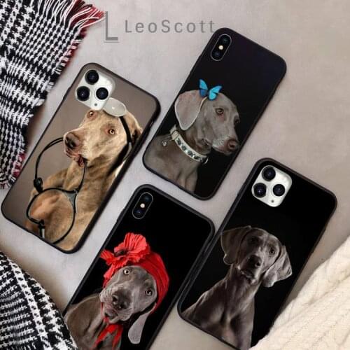 Weimaraner dog Phone Cases for iPhone 11 12 pro XS MAX 8 7 6 6S Plus X 5S SE 2020 XR Soft silicone
