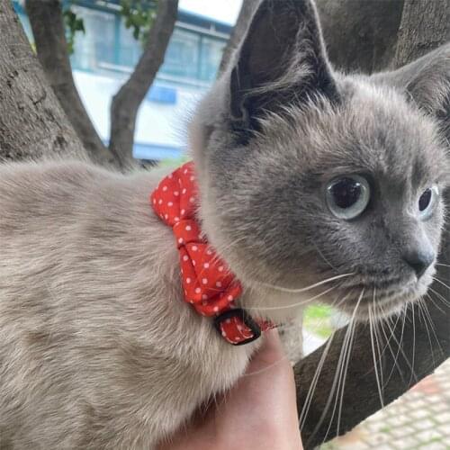 Cute Dot Cat Collar With Bowknot Bells Adjustable Pets Neck Ornament Pet Necklace Cat Accessories