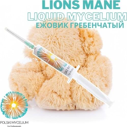 Evde Mantar Seed Distributors