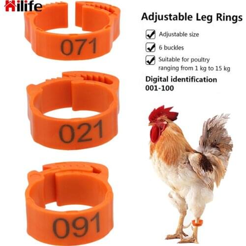 100Pcs/set Buckle Ring Foot Ring Adjustable Color Randomly For Chicken Duck Pigeon Leg Digital Label