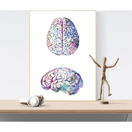 Human Brain Anatomy Side and Upside View Posters and Prints Colorful Watercolor Wall Art Biology Science Medical Painting Gift
