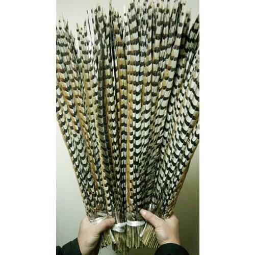 Perfect 100pcs rare natural Reevess Pheasant feathers 20-22inch/50-55cm Decorative diy Clothing accessories stage performance