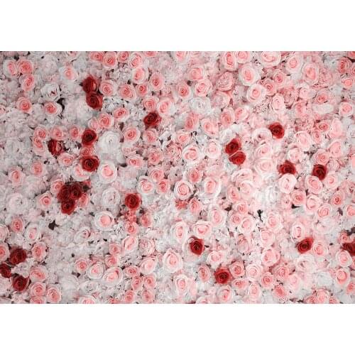 Flower flower wall valentines Day photo background children photo life photo newborn photo