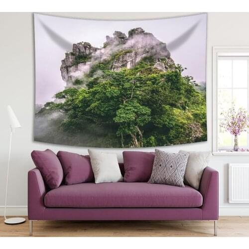Tapestry Mountain Trees Forest in the Cloud and Morning Fog Nature Landscape Green Gray