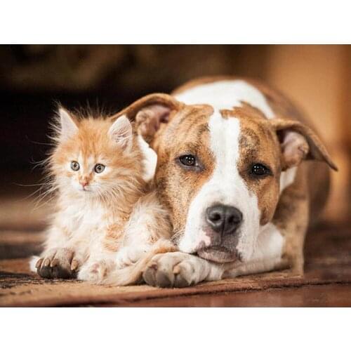 Full Square Diamond Painting Dog 5D DIY Animal Cat Diamond Embroidery Cross Stitch Kit Handmade Gift Home Decoration