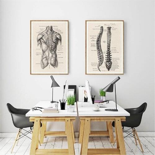 Human organ anatomy diagram decoration painting medical wall art skeletal muscle retro poster Nordic canvas printing education