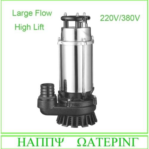 Large Flow 1.1KW Stainless Steel Submersible Well Pump 220V/380V 15M3/H Flow Max for Agriculture