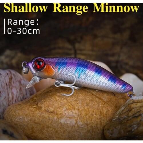 TSURINOYA Shallow Range Fishing Lure Minnow DW71 64F 64mm 6g Short Lip Seabass Tungsten Weight System Crank Bait Jerkbait Model