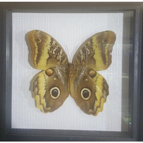 Декоративные наклейки на стену Present61 China At AliExpress