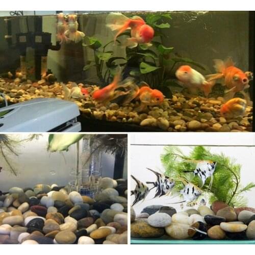 High Polished Mixed Pebble Stone with Different Color for Landscaping and Gardening