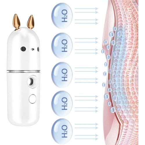 Steamer Face Portable MINI Nano Facial Steamer Professional Mist Atomization Moisturizing Sprayer USB Charging Face Humidifier