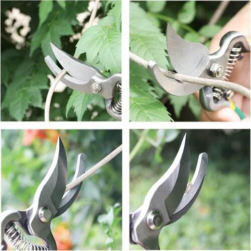 CARVNRLY Secateurs