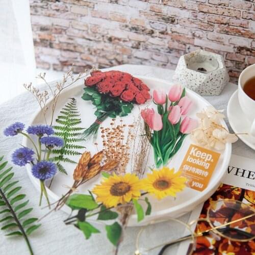 8pcs/pack Vintage PET Large Size Plants stickers package DIY diary Journal decoration label sticker album scrapbooking