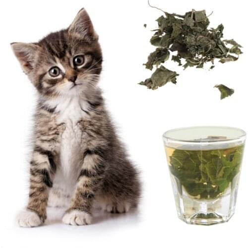 High Quality Natural Silvervine Leaves Cat Catnip Dried Polygonum Matatabi Toys Flavor Snacks MAY-16A