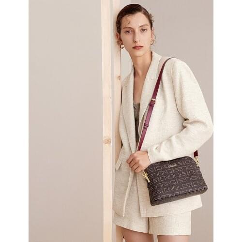 Cnoles casual small brown color handbags brand design clutches ladies party purse women crossbody shoulder shell messenger bags