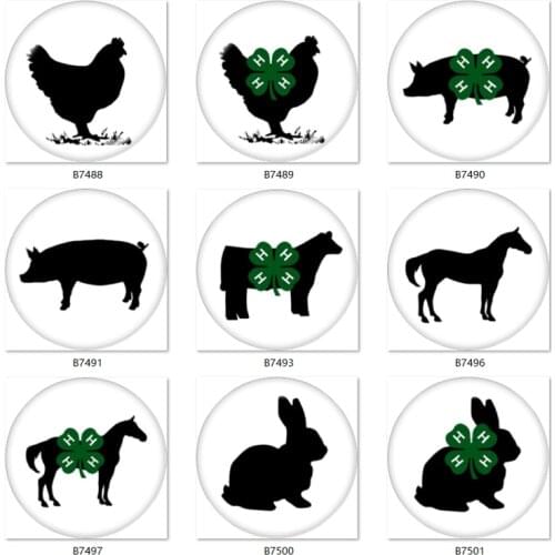 Animal 4H Clover PIG HORSE Cow 10pcs mixed 12mm/18mm/20mm/25mm Round photo glass cabochon demo flat back Making findings B7488