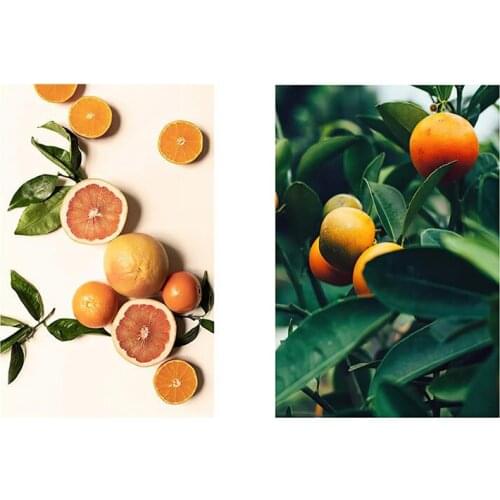 Wall Art Natural Fruit Orange Leaves Paintings Wallpaper Landscape Poster and Print for Living Room Bedroom Corridor Decoration