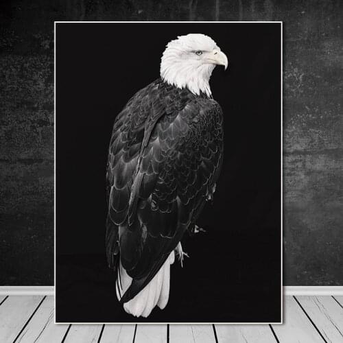 Modern Black and White Animals Posters and Prints Wall Art Canvas Painting Lion Horse dog etc. Pictures for Living Room Decor