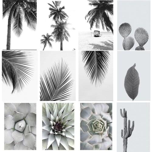 Black And White Landscape Beach Palm Trees Decoration Nordica Home Canvas Painting Garden Poster Bedroom Decoration Pictures
