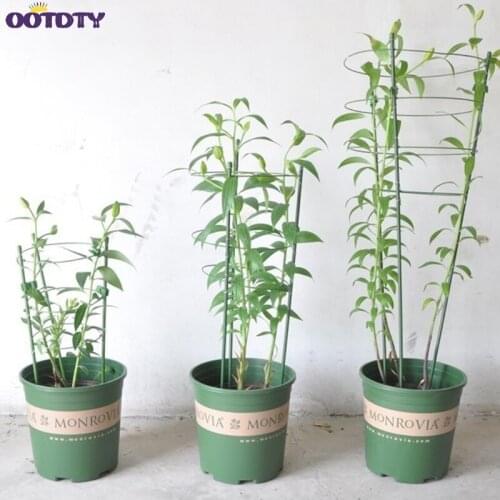 Garden Plant Support Climbing Plants 45cm 60cm Conical Trellis Supporter Frame