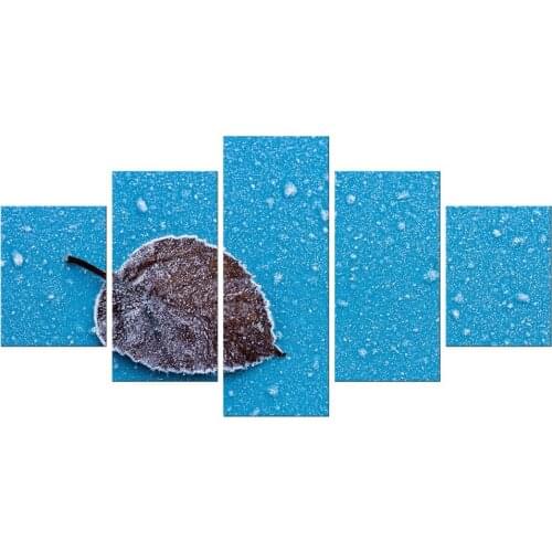5 Pieces Minimalist Art Canvas Prints Frozen plant leaves Blue background on canvas Wall For Living Room Home Decor Framed
