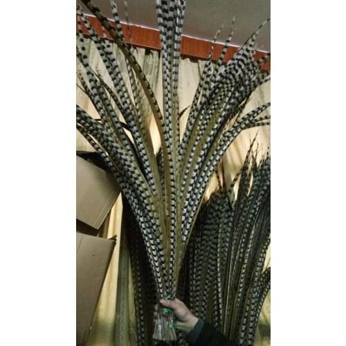 Beatiful 10pcs rare natural Reevess Pheasant feathers 36-40inch/90-100cm Decorative diy Clothing accessories stage performance